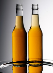 TWO BEER BOTTLES