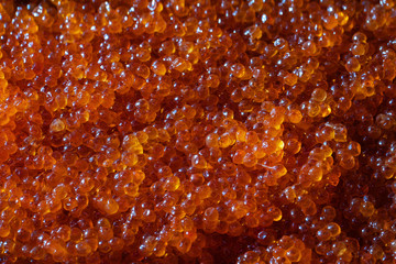 Close up view of granular salted caviar red salmon fish as food background