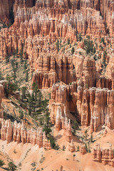 landscape on the bryce canyon in the united states of america