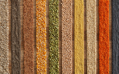 Various seeds and grains arranged in colorful stripes on the table - top view
