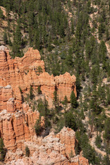 landscape on the bryce canyon in the united states of america
