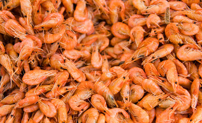 Close-up view of a pile of fresh little shripms.