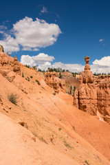 landscape on the bryce canyon in the united states of america