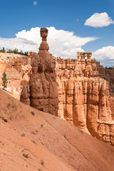 landscape on the bryce canyon in the united states of america