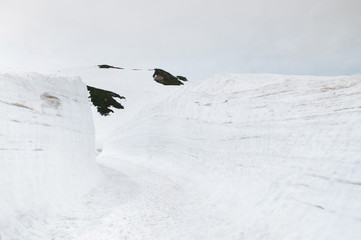 Nature trail between snow wall at Tateyama Kurobe Alpine