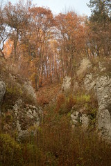 Autumn in Dolina Mnikowska (Cracow, Poland)