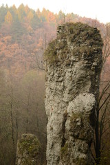 Skała w Dolinie Mnikowskiej