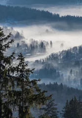 Peel and stick wall murals Forest in fog Smartphone HD wallpaper of Beautiful alpine view
