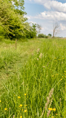 Smartphone HD wallpaper of beautiful view near Wallersdorf - Bavaria - Germany