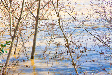 Fototapeta na wymiar Flooding after torrential rain in a sunny day - concept image