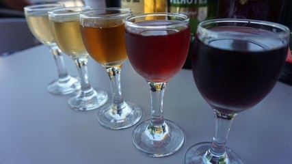 traditional wine tasting in wine cellar of porto