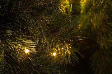 Fototapeta premium Christmas Tree Lights Lit Up at Night