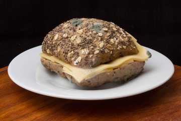 Käsebrötchen mit Schimmel / verdorben