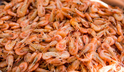 Close-up view of a pile of fresh little shripms.