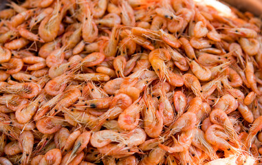 Close-up view of a pile of fresh little shripms.
