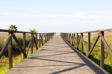 Obraz premium Wooden planks walkway leads between palm trees on a beach near the sea with blue sky