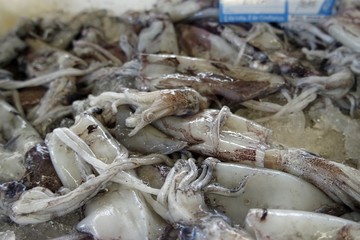 fresh fosh from a local fishmarket in aveiro