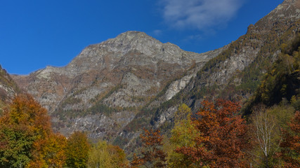 La montagna nel mese di ottobre con i suoi alberi rossi e gialli