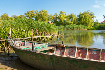 Naklejka na ściany i meble The calm sunny river overgrown with reed and old weathered wooden fishing boat