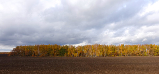  rable land and forest in autumn in Russia