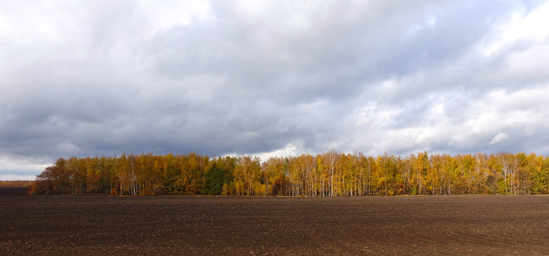  rable land and forest in autumn in Russia