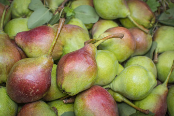 pears background of ripe fruit