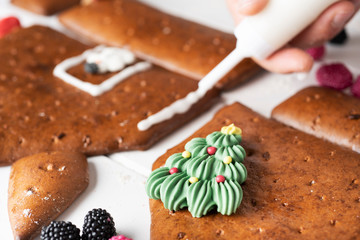 young man making a gingerbread house