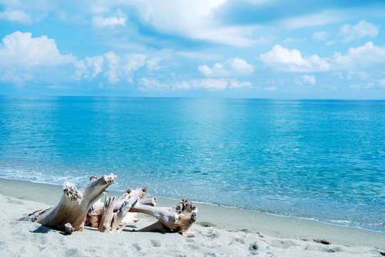 Riva Bella beach in Corsica, France