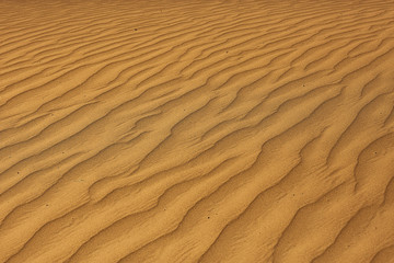 texture desert land sand dunes barkhans, deserts