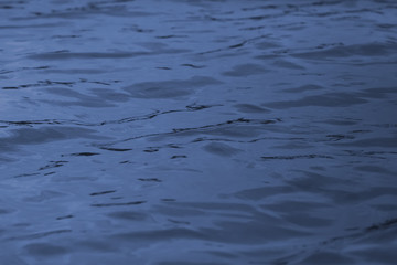 Texture of water in the sea