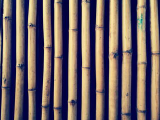 Bamboo background, texture