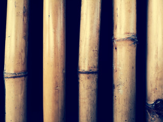 Bamboo background, texture