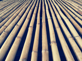 Bamboo background, texture