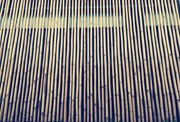 Bamboo background, texture