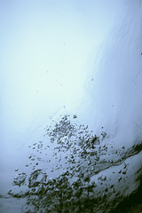 underwater texture air bubbles diving / view from under the water up, underwater background