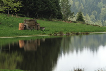 Fototapeta premium plateau