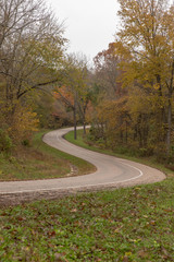 road curves through the woods with fall colors