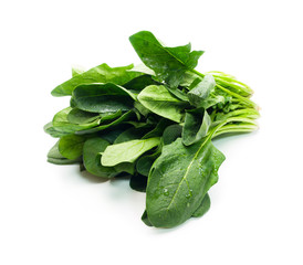 Spinach isolated on white with natural shadows