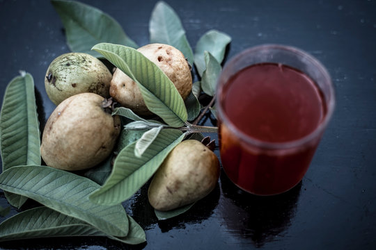 Close up of organic juice of red guava or amarood or jamrukh in a transparent glass with raw guava and its leaves on wooden surface.