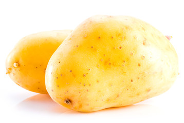 New potato isolated on the white background