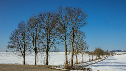 Beautiful view near Unholzing-Bavaria-Germany