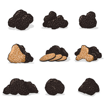 Black truffle mushroom vector cartoon set isolated on white background.