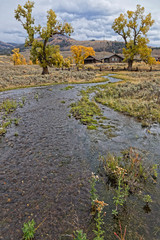 Small river near the rangers house of Yellowstone National Park