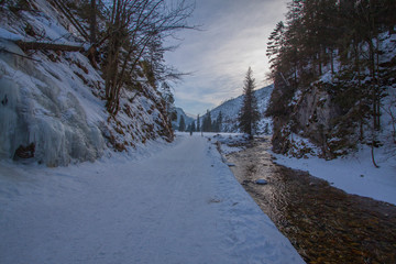Naklejka premium Tatry - Dolina Kościeliska