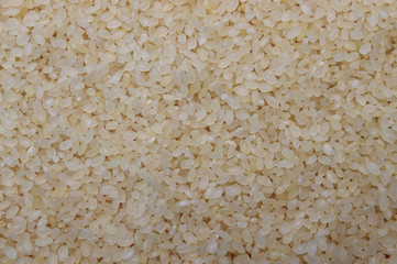 Rice organic close-up food vegetarian textured macro