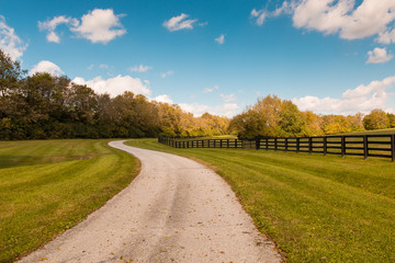 Country road along horse farms.