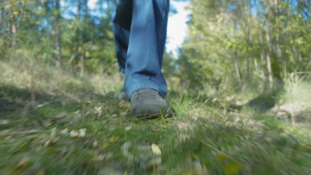 Bottom View of the Foot of a Man Walking Along the Road in the Forest