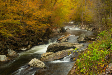 Little River in Smoky Mountains in Autumn