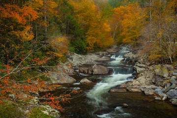 Little River Smoky Mountains Tennessee in Autumn