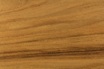 Monky pod (Albizia saman or  Samanea saman) wood texture or grain. Commonly used wood for wood working. Also known as  Raintree. High resolution. Sharp to the corners.